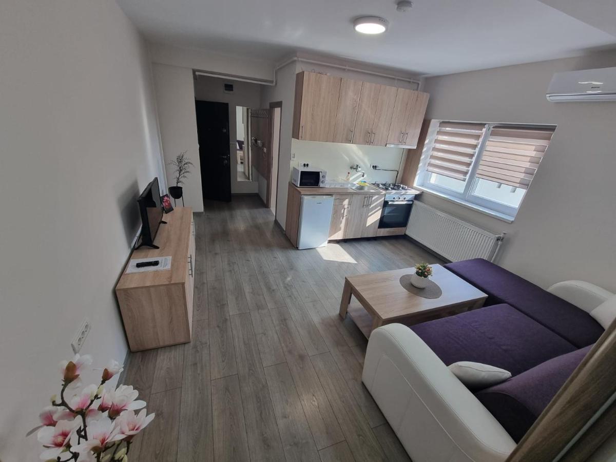 City Premium Apartments Тімішоара Екстер'єр фото