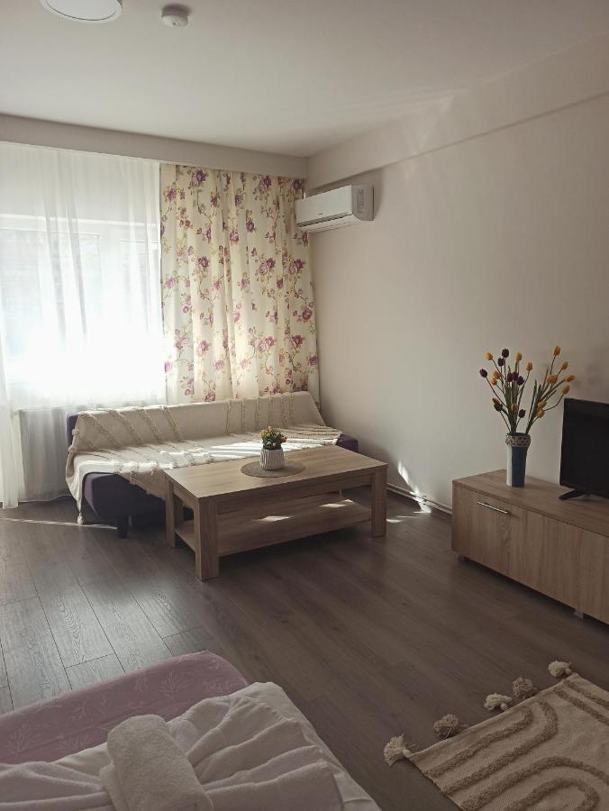 City Premium Apartments Тімішоара Екстер'єр фото